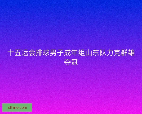 十五运会排球男子成年组山东队力克群雄夺冠